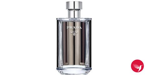 imitaciones colonias de prada hombre